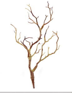 Artificial Tree Branch