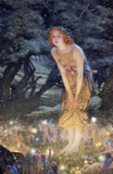 Fairy Ring, August 2026 LORE & LEGENDS